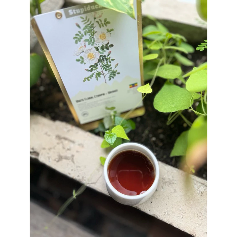 エチオピア ゲデブゾーン ヘアルーム ウォッシュド グレード1 ホワイトフローラル スペシャルティコーヒー 細挽き フィン用 500g - Stupiducks