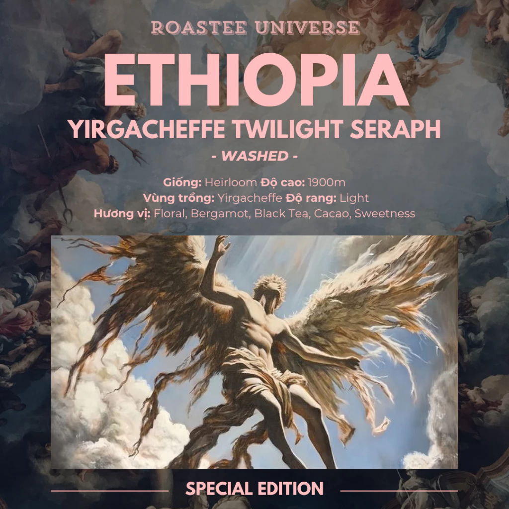 エチオピア イルガチェフェ「トワイライト セラフ」ウォッシュド スペシャルティコーヒー豆 100g（プアオーバー推奨）