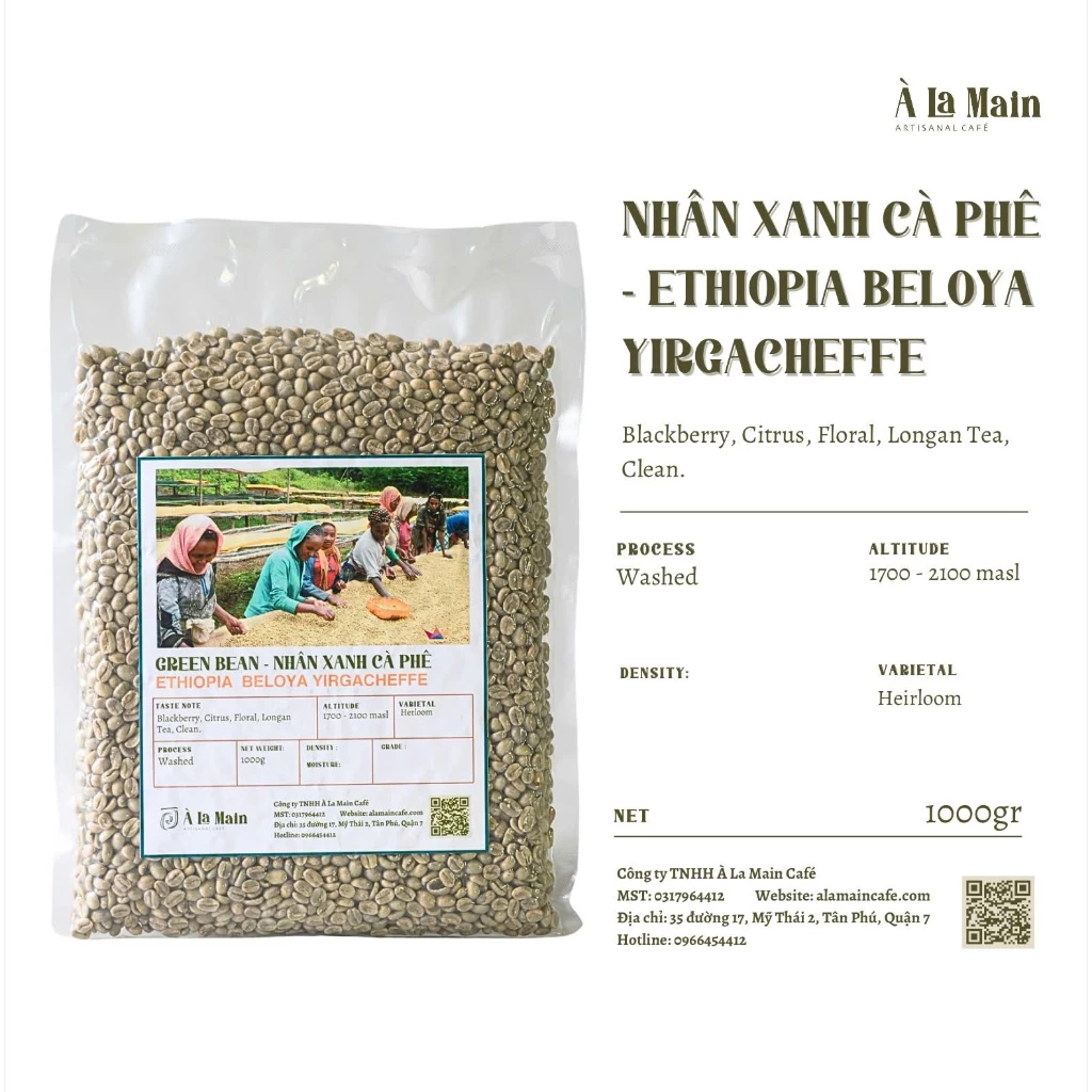 【2024年収穫】エチオピア イルガチェフェ ウォッシュド スペシャルティ グリーンコーヒー生豆 500g (税込)