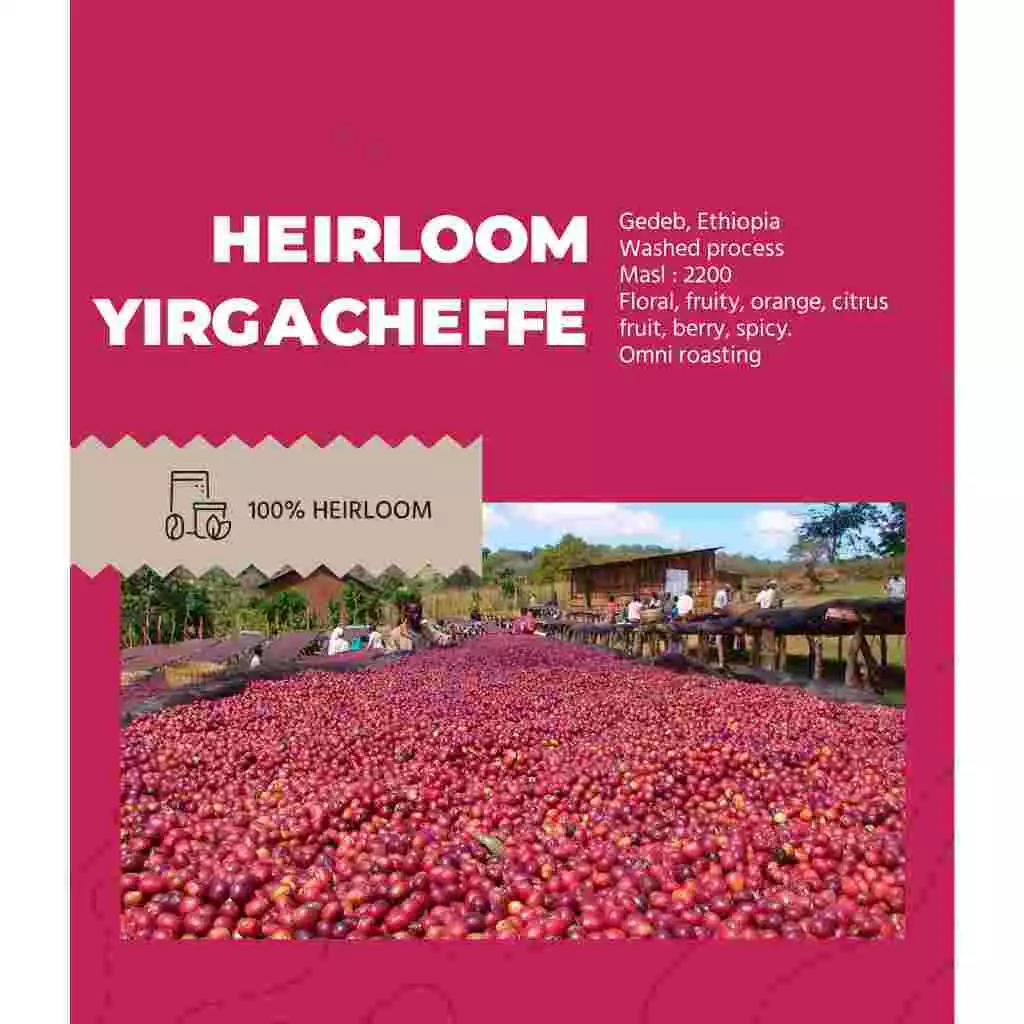 エチオピア イリガチェフ ヘアルーム スペシャルティコーヒー生豆 200g