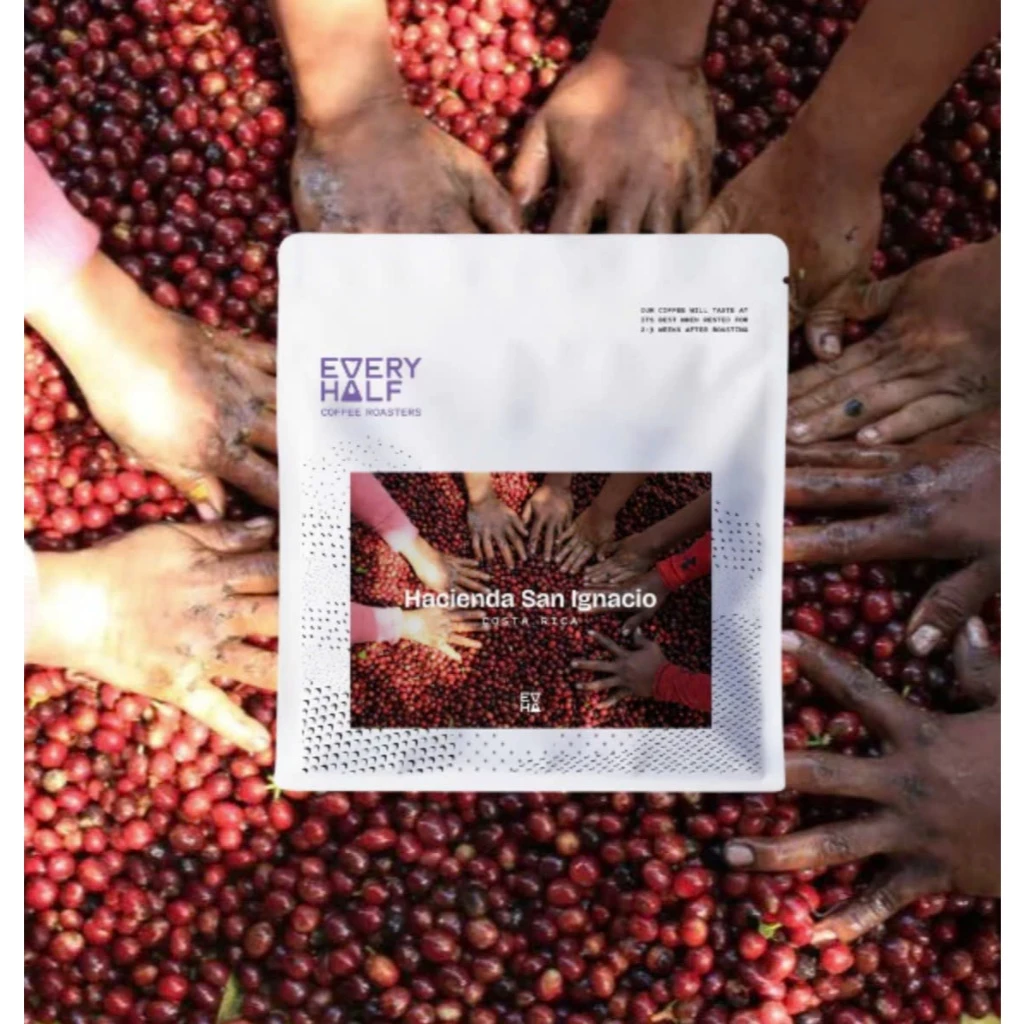 Every Half コスタリカ Hacienda San Ignacio アラビカ スペシャルティコーヒー 浅煎り 500g 焙煎豆