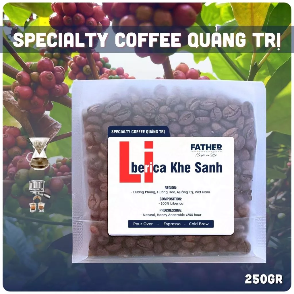 【Father Coffee】ベトナム ケサン産 スペシャルティ リベリカ ジャックフルーツコーヒー 250g (焙煎豆)