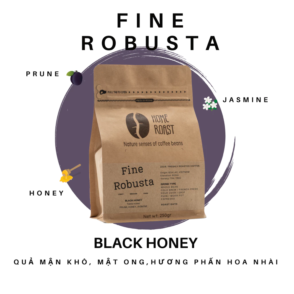 ベトナム産ジャライ ファインロブスタコーヒー [プルーン] ブラックハニー 中煎り 250g 粉 (Pour Over / Drip用)