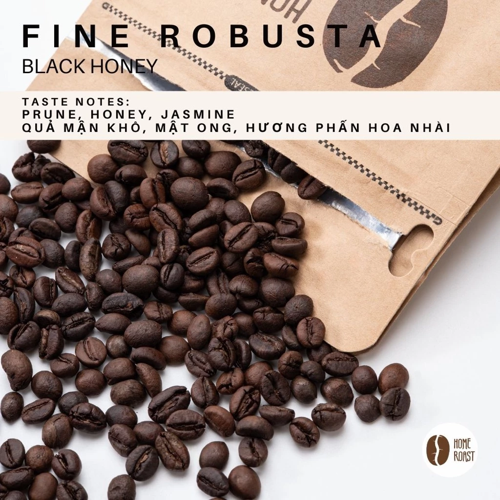 ベトナム産ジャライ ファインロブスタコーヒー [プルーン] ブラックハニー 中煎り 250g 粉 (Pour Over / Drip用)