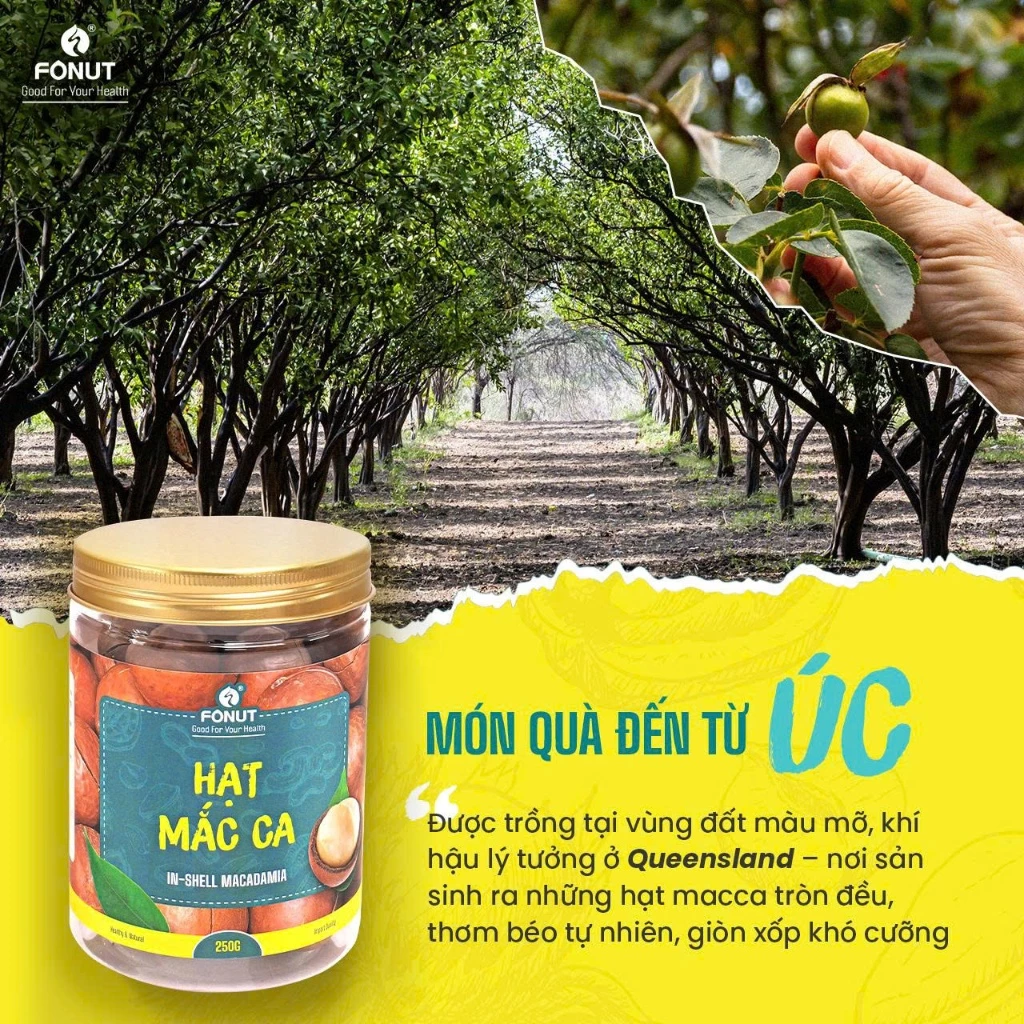 FONUT 殻割りマカダミアナッツ 1000g (豪州産) 妊婦・ダイエット・ナッツミルクに最適
