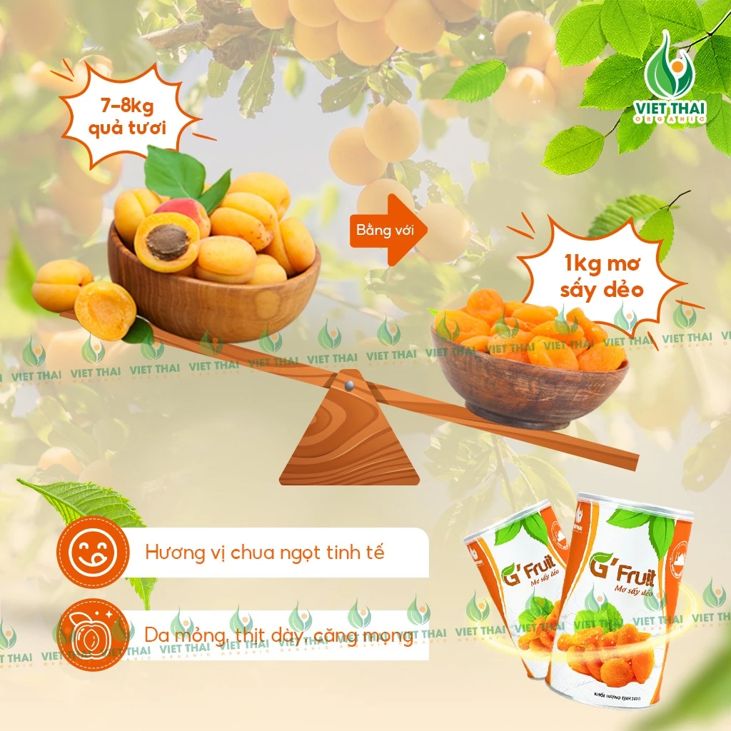 G'Fruit 完熟アプリコットドライフルーツ（無加糖・ヘルシースナック）300g ベトナム産