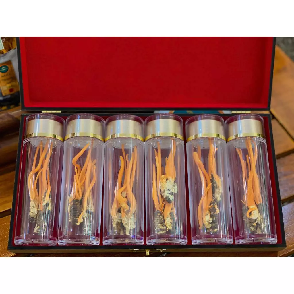 プレミアム金剛黄金 冬虫夏草 (18匹入り) – 肝臓デトックス、免疫力強化、健康増進をサポート