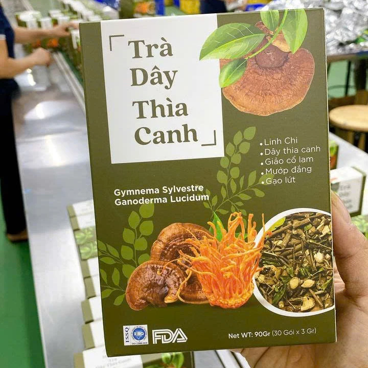 ギムネマ茶 – 血糖値サポート、糖尿病対策、天然ハーブティー