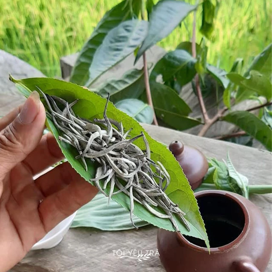 ハザン古木シャンスエット白茶 プレミアム (250g)