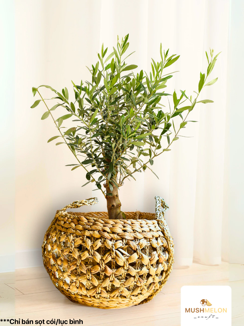 手作り天然ウォーターヒヤシンス製 花編みバスケット D22xH18cm – 植木鉢カバー・インテリア装飾に