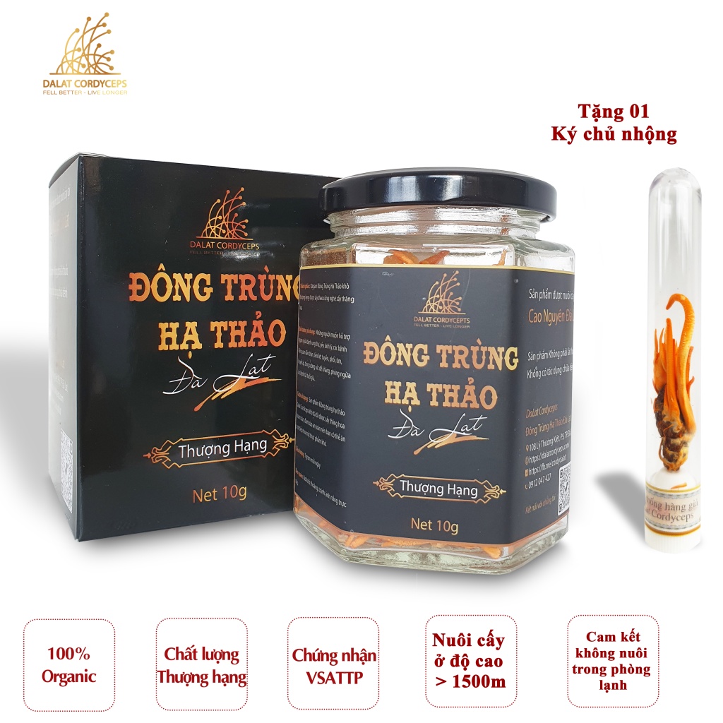 ヘルスハーブ プレミアム 冬虫夏草 低温真空凍結乾燥 10g HEALTH HERB