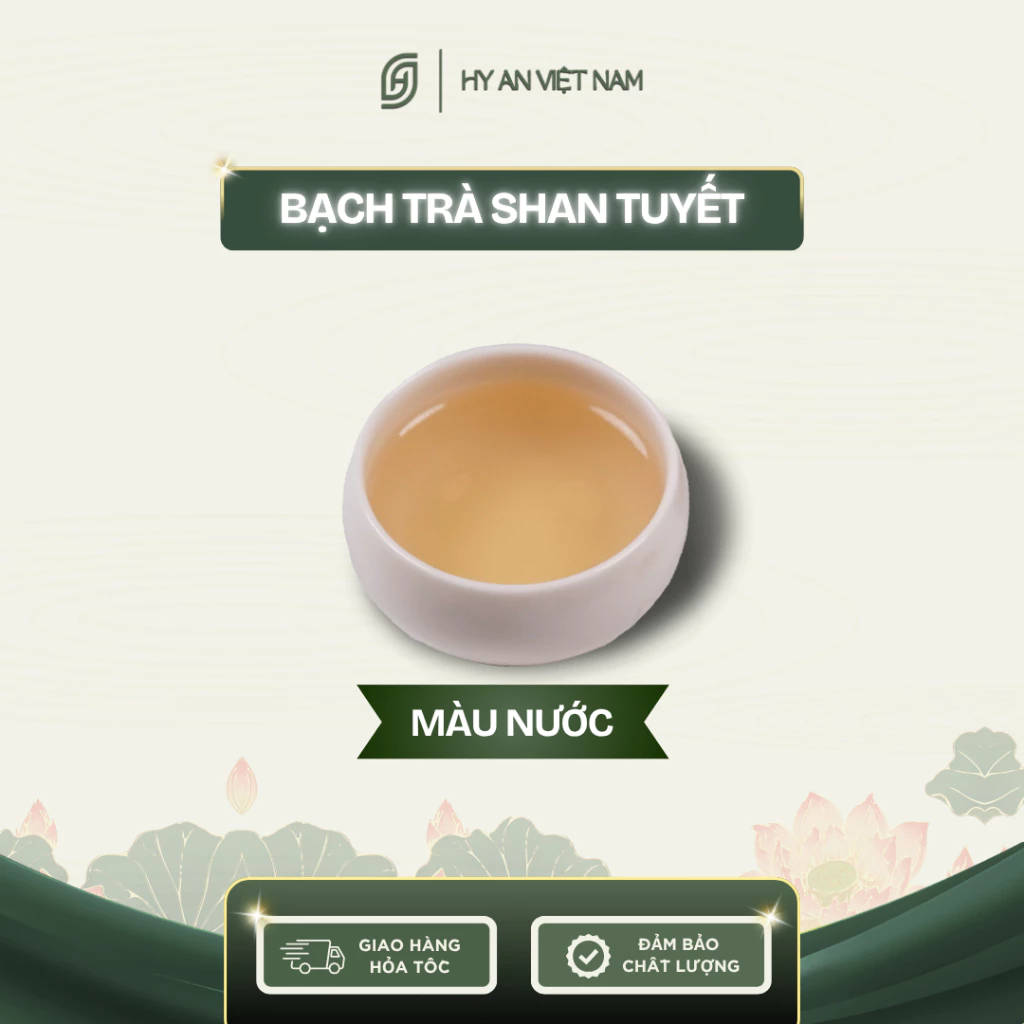 ハイアン特級シャンツェ白茶 500g ジップ袋入り – 美味しい高品質オーガニック茶