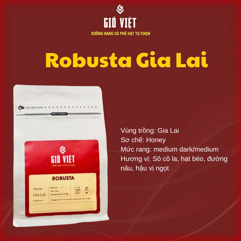 Gió Việt Coffee 伝統ロブスタ 全粒コーヒー豆 - Gia Lai産 濃厚中深煎り 250g
