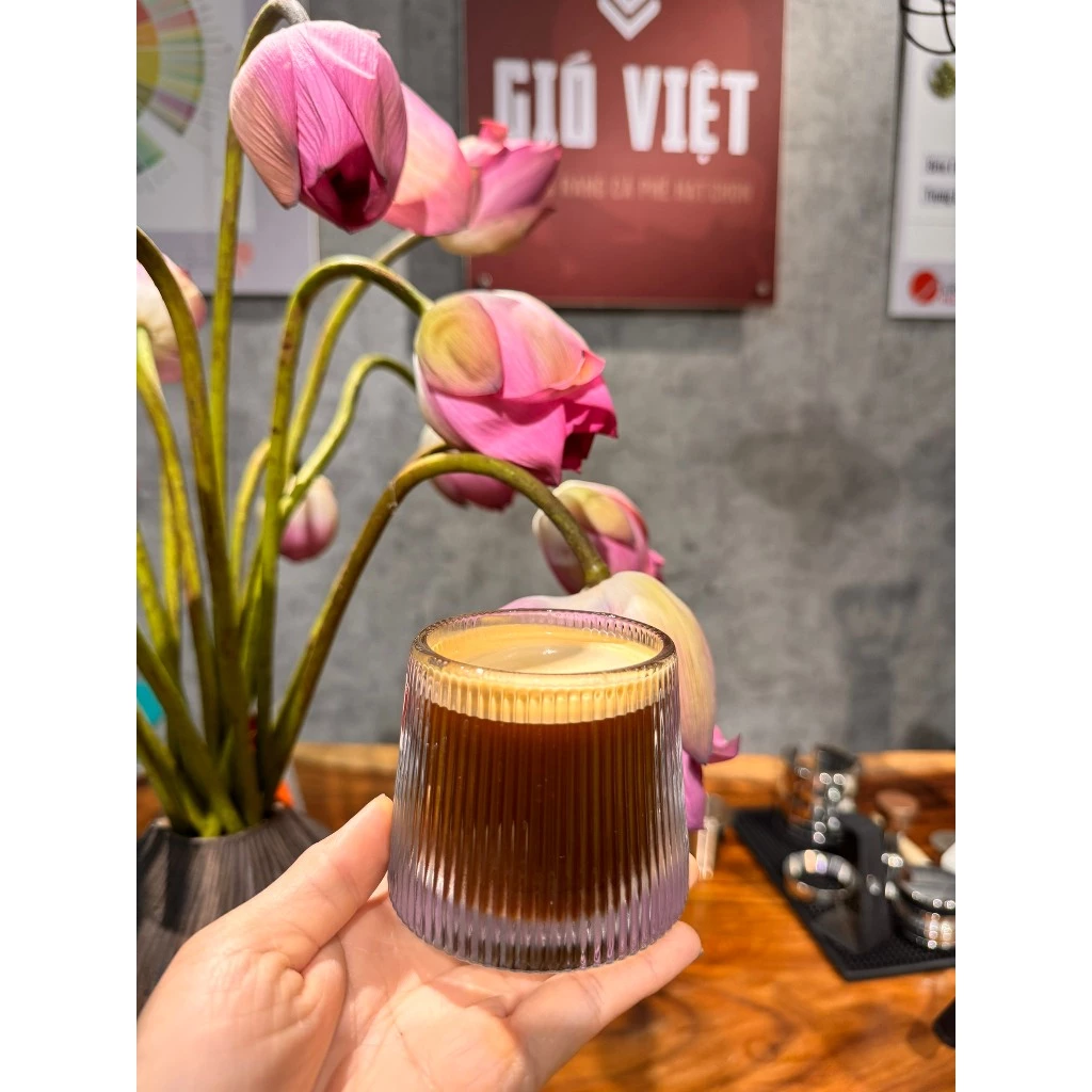 Gió Việt Coffee Roaster ジャライ産 ロブスタコーヒー粉 伝統の濃厚な味わい フィン用中細挽き (ミディアムライトロースト) 250g