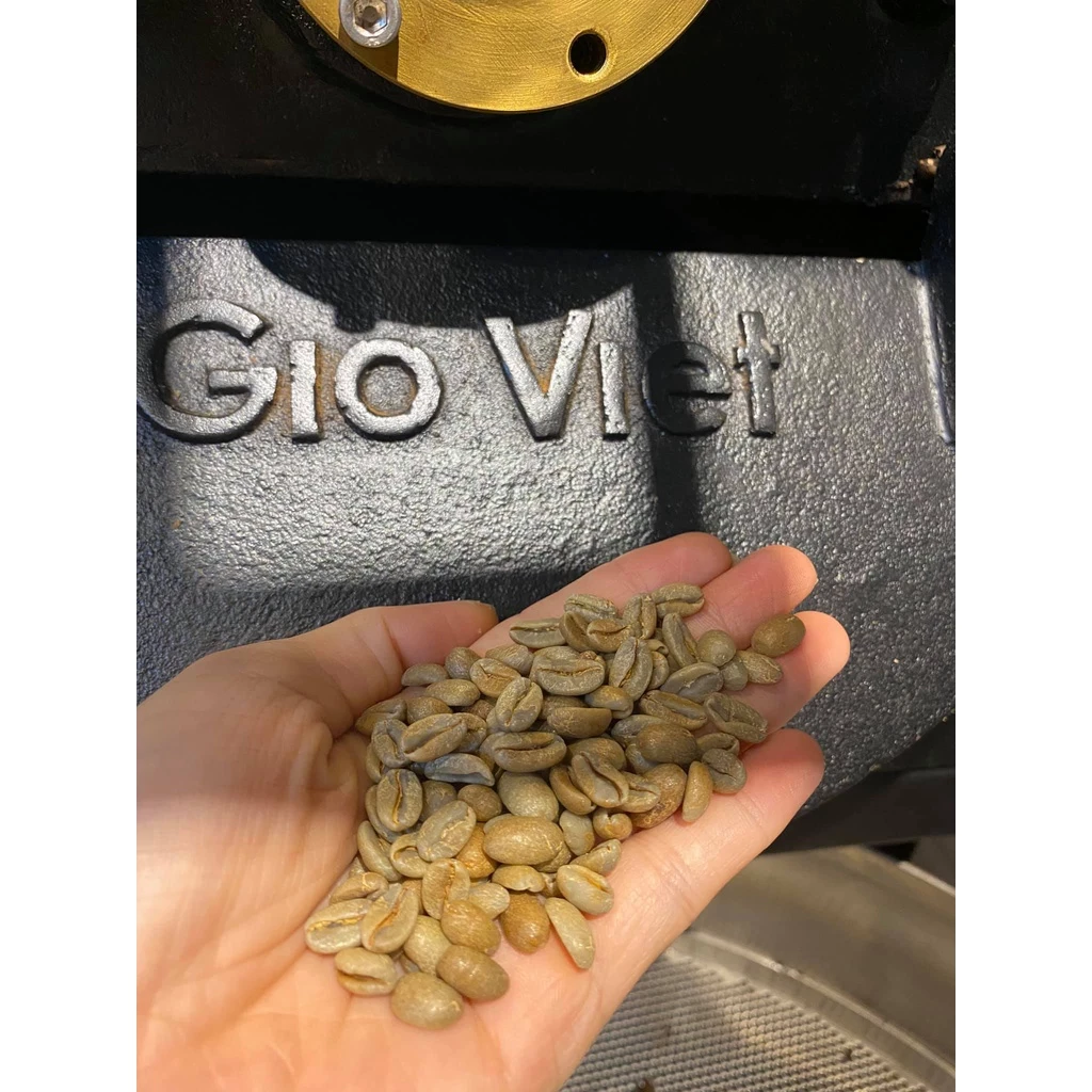 Gió Việt カウダット産 アラビカ レッドハニー カティモール 細挽き粉コーヒー (フィン用) 中煎り 250g