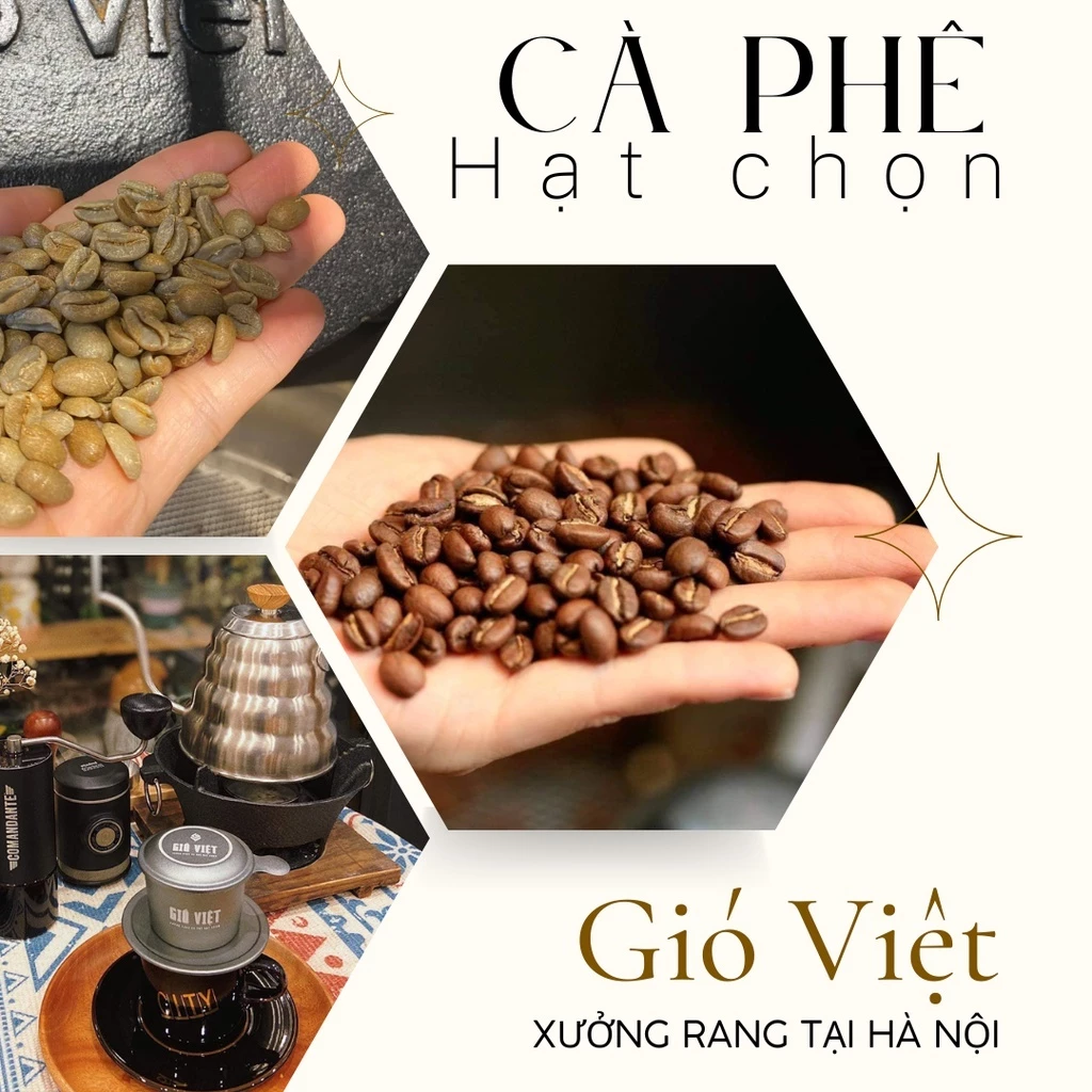 Gió Việt Coffee カウダット産アラビカ・カティモール種 細挽きウォッシュドコーヒー粉 (フィンフィルター用) - 250g