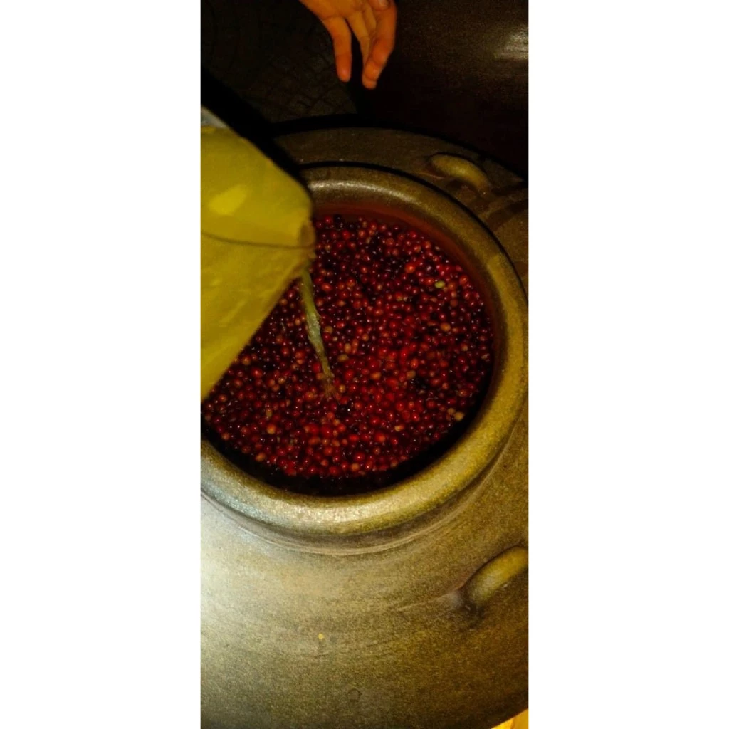 Gió Việt ソーンラ産アラビカコーヒー | 土甕発酵 | フィン用細挽き | ライトロースト 250g | フルーティー、高麗人参、ナッツ風味