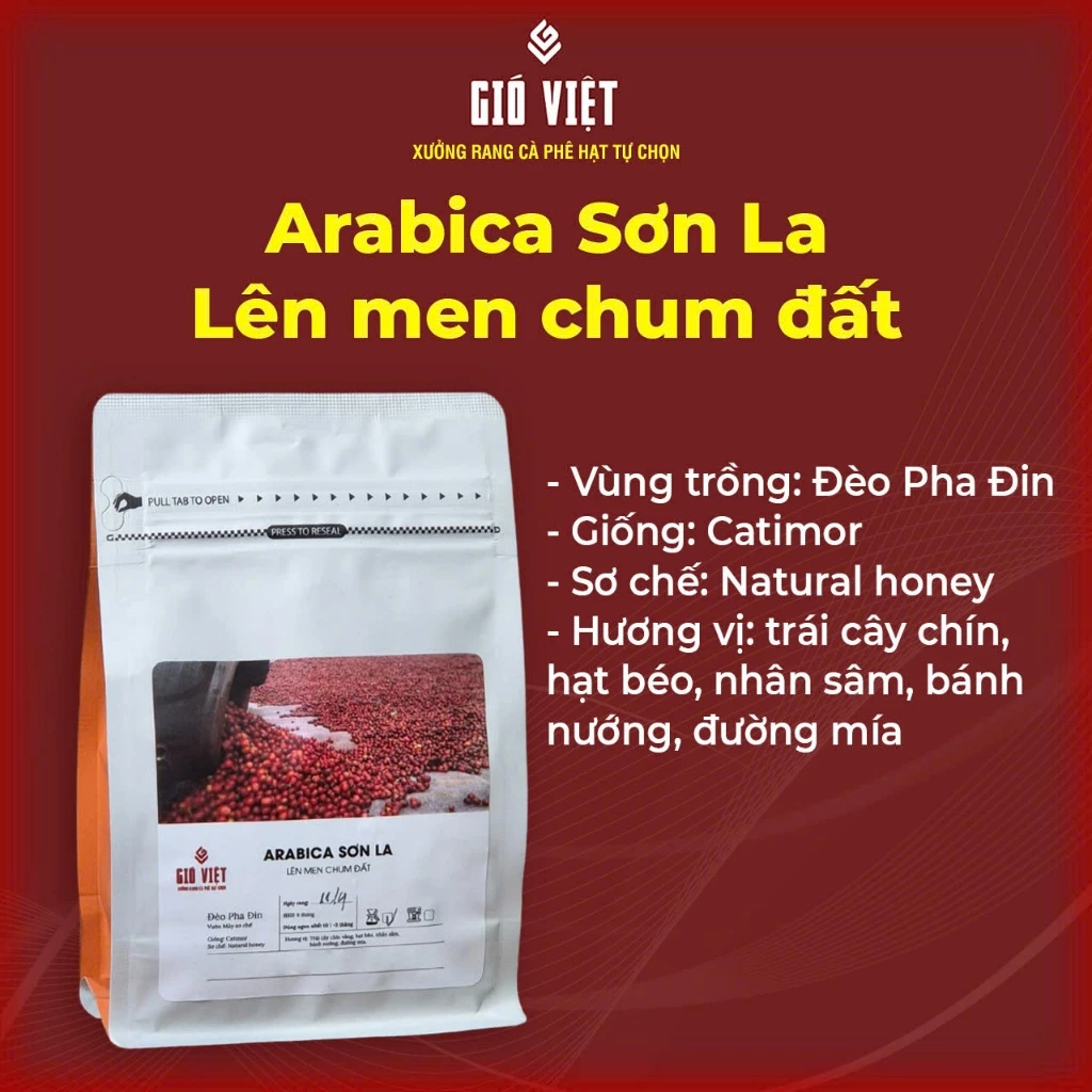 Gió Việt ソンラ産アラビカ プアオーバー用コーヒー粉 250g 中煎り - 土甕発酵 特製フルーツ＆高麗人参＆ナッツの香り
