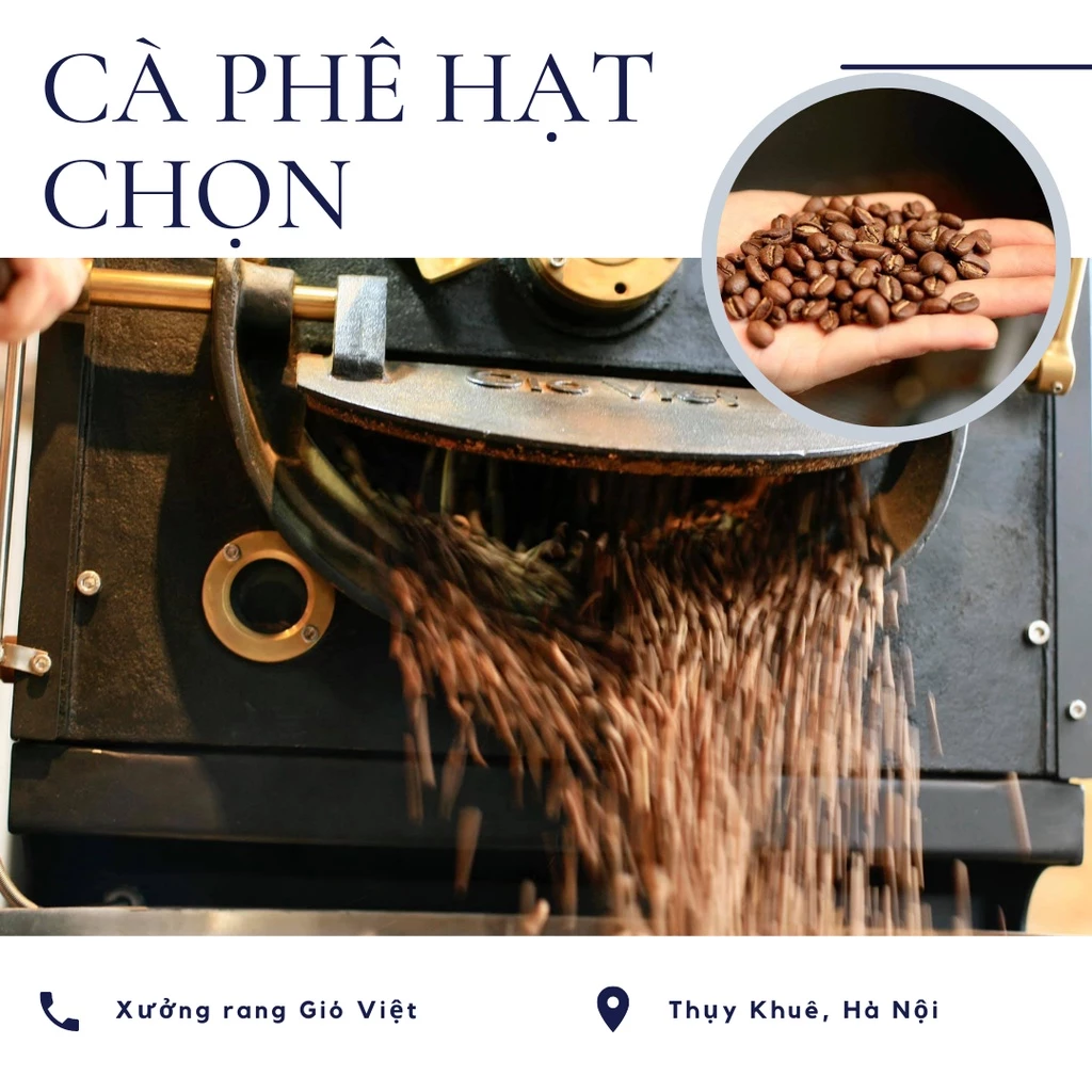 Gió Việt Coffee - バオロク・フューチャーファーム産<br>ファインロブスタ ワイニーハニー 挽き豆 250g (フィン用)