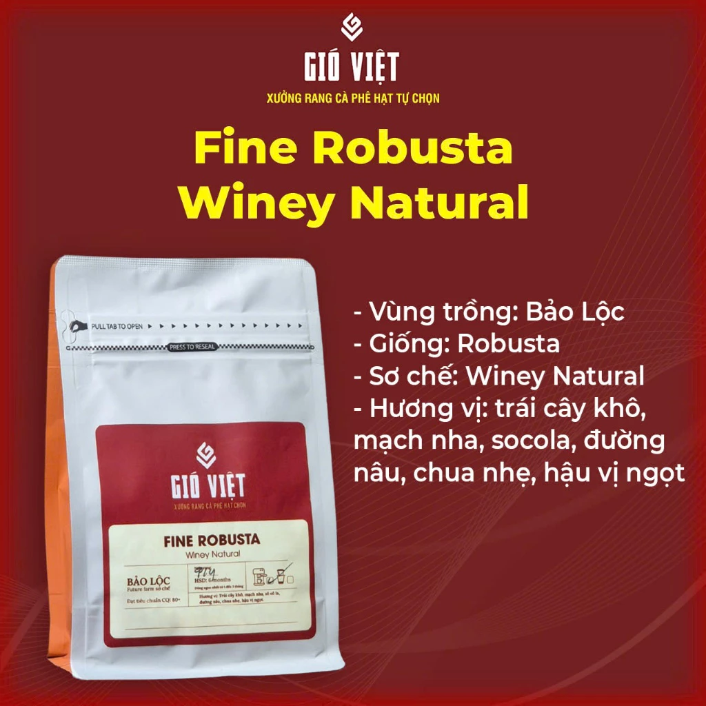 ファインロブスタ ワイニーナチュラル - フューチャファーム産 細挽き phin (フィン) 用 - Gió Việt Roaster 250g