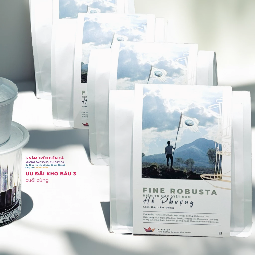 Visty ラムドン産 ファインロブスタ ハニー コールドブリュー用 粗挽きコーヒー粉 500g