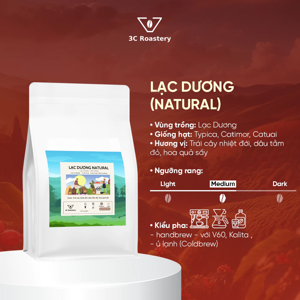 【Lạc Dương Natural】ベトナム産100%アラビカコーヒー豆 軽やかな酸味 冷水抽出（コールドブリュー）推奨 200g 焙煎挽き豆
