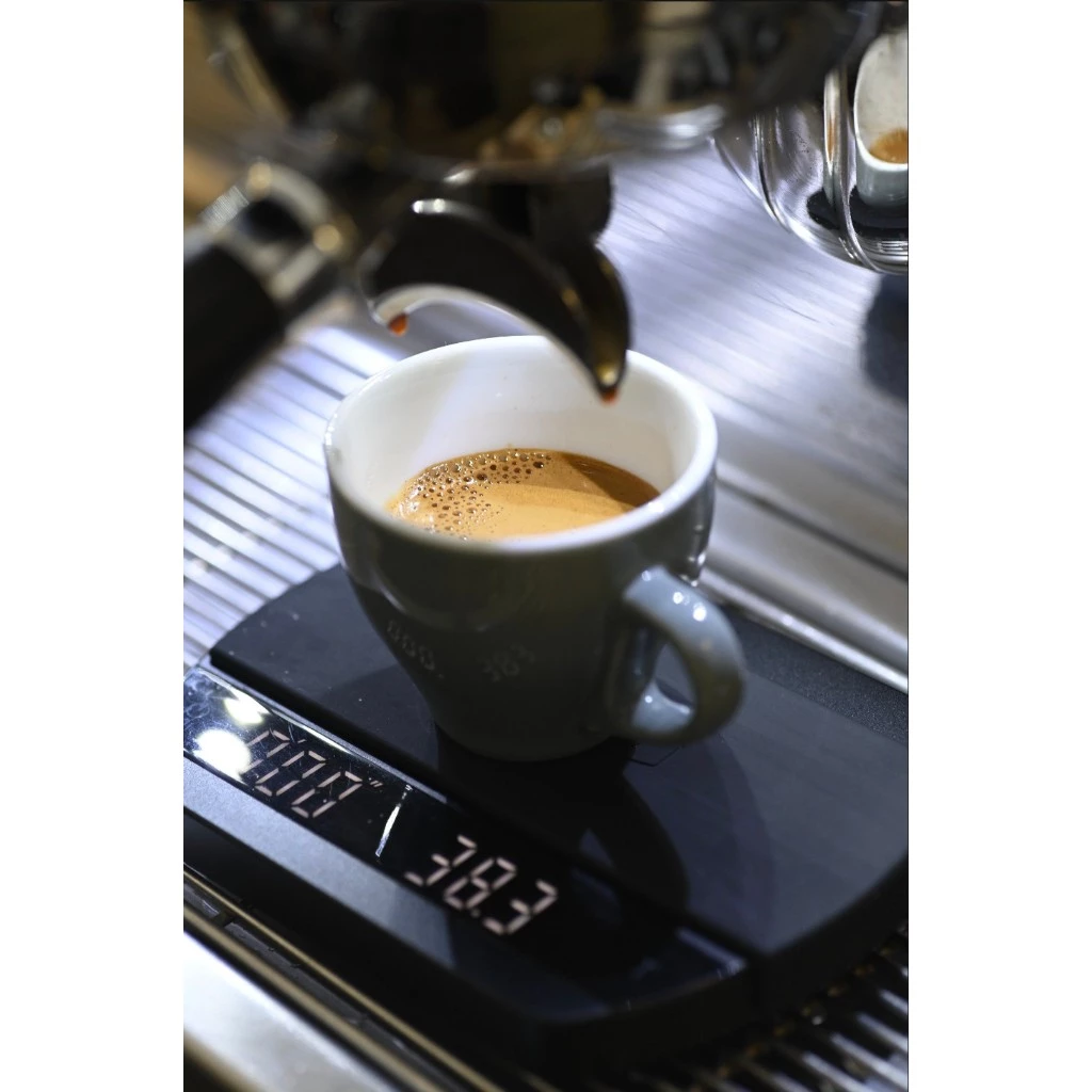 ア・ラ・マン エスプレッソ用 カティモール ウォッシュド コーヒー豆 THYTHYファーム カウダット産 500g