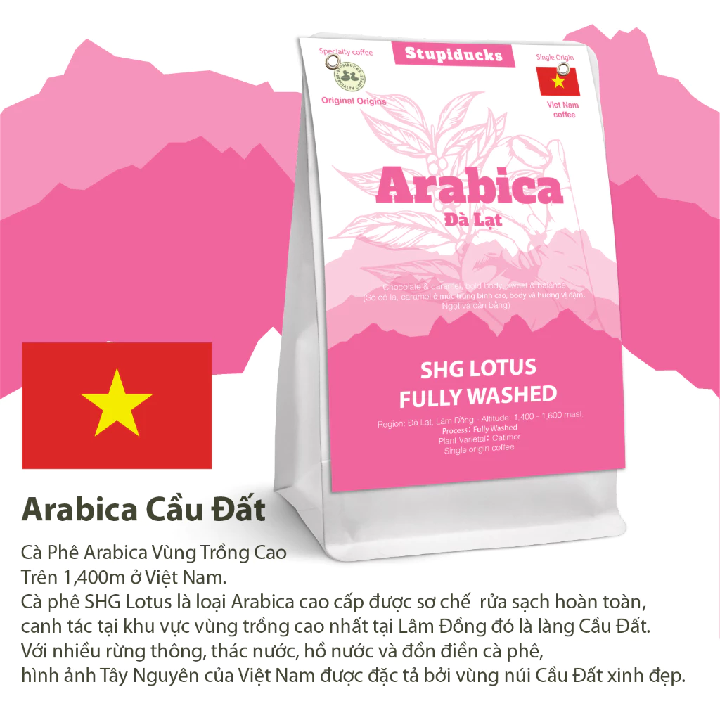 ベトナム ダラット・カウダット産アラビカコーヒー粉（深煎り・中煎り）CLC ウォッシュド SHG ロータス 150g コールドブリュー専用