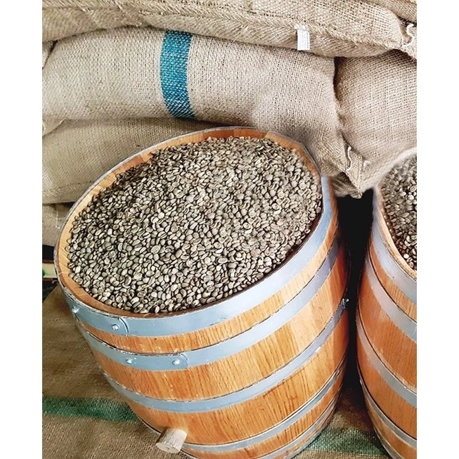 カウダット・ダラット産アラビカ豆 オーク樽熟成コーヒーパウダー 500g | SSCロースター フィン用 細挽き 芳醇な甘みと香り