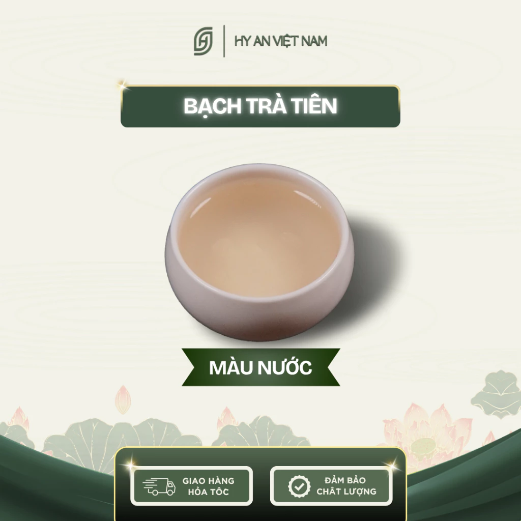 【Hy An】仙ヒアン白茶 30g – ベトナム産 野生オーガニック高級白茶