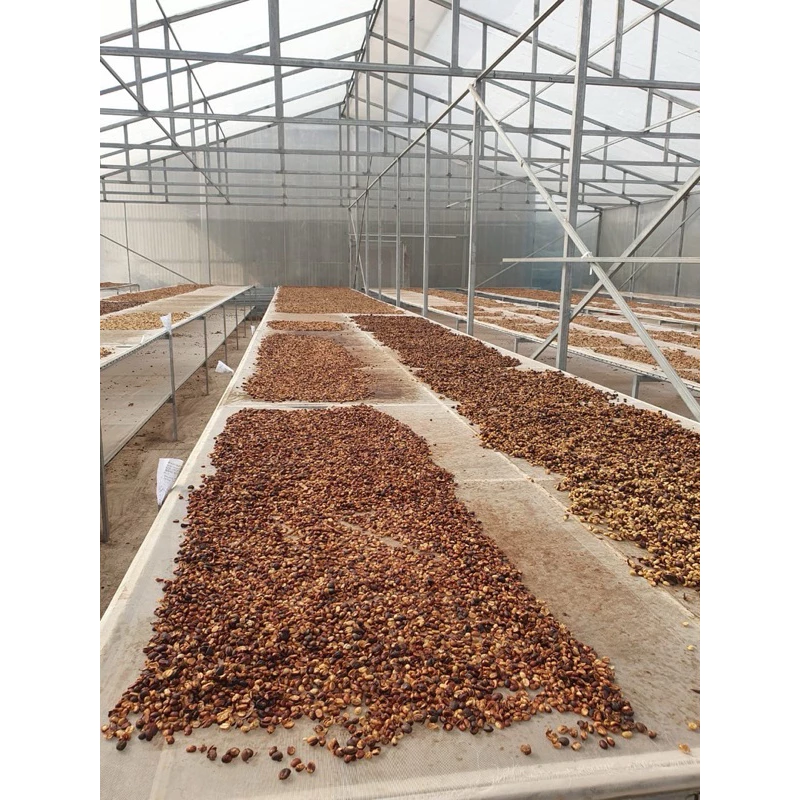 ダラット・カウダット産 特選アラビカ樽熟成コーヒー粉 - SSCロースター (芳醇な甘い香り) 150g (細挽き - フィン用)