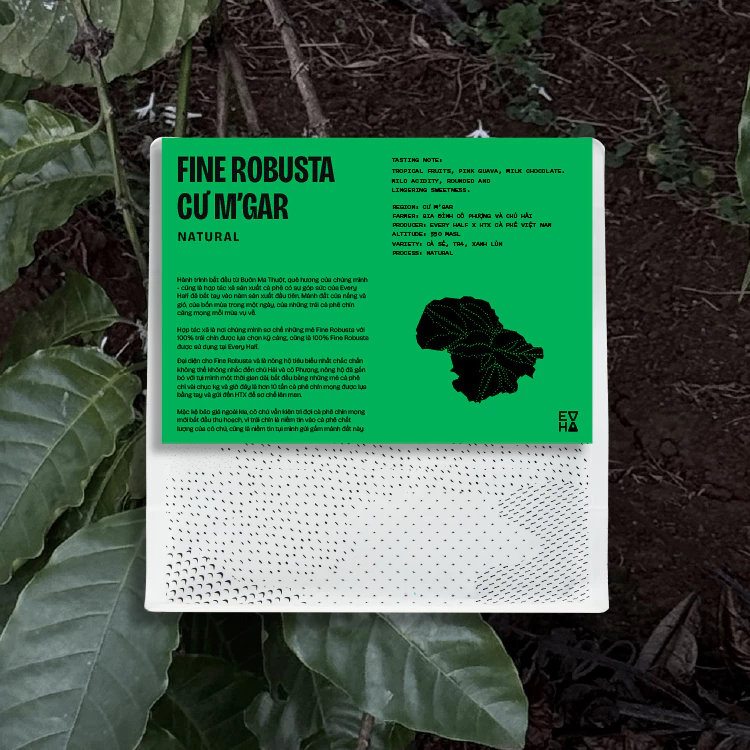 エブリハーフ クーエムガー産 ファインロブスタ コーヒー粉 125g 新豆2025 プアオーバー用