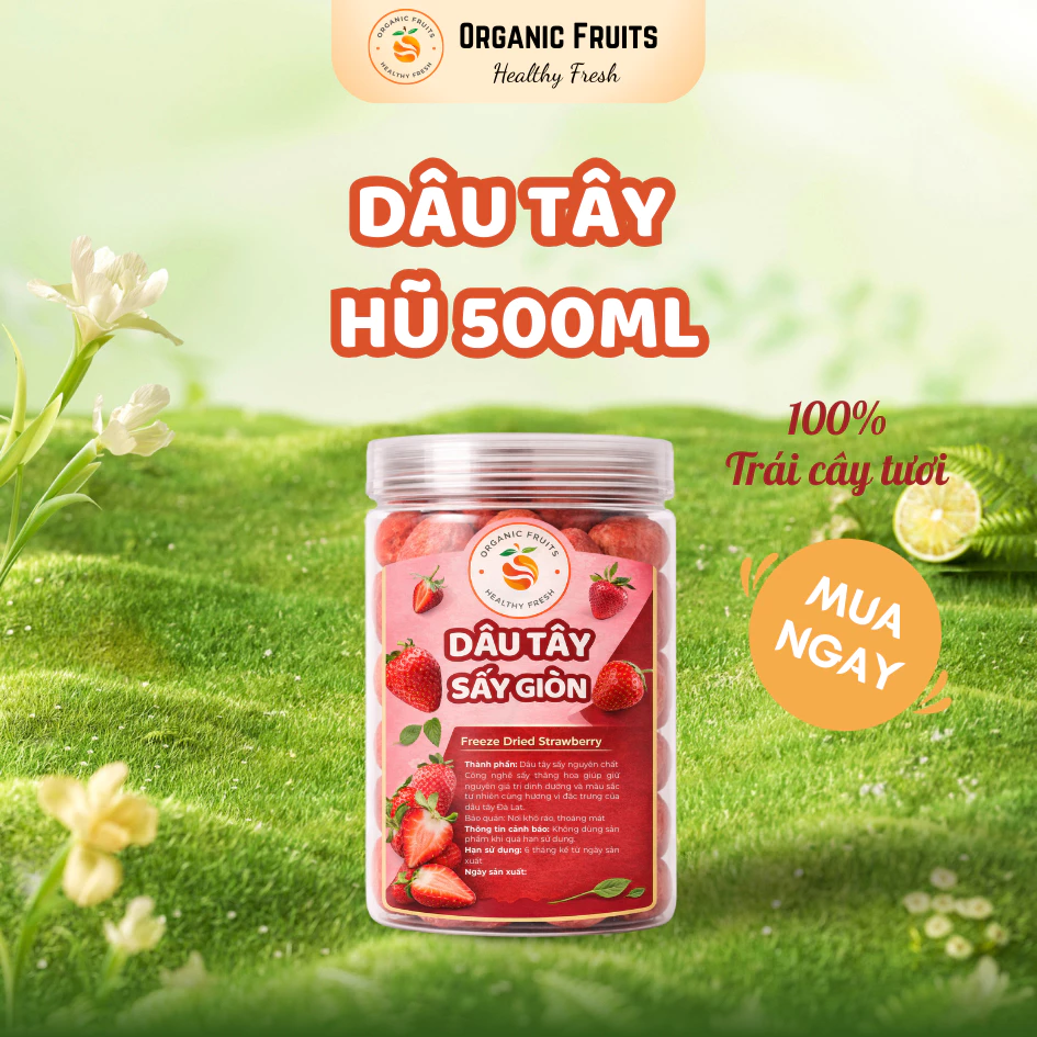 大粒フリーズドライいちご 500MLジャー入り - サクサク食感 濃厚な甘酸っぱさ 無添加 オーガニック