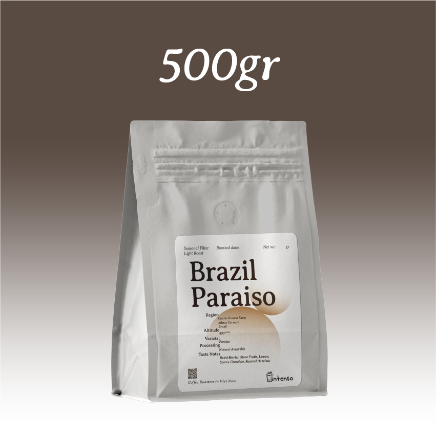 Intenso Coffee Roasters ブラジル パライゾ ナチュラル アナエロビック スペシャルティコーヒー 浅煎り 500g