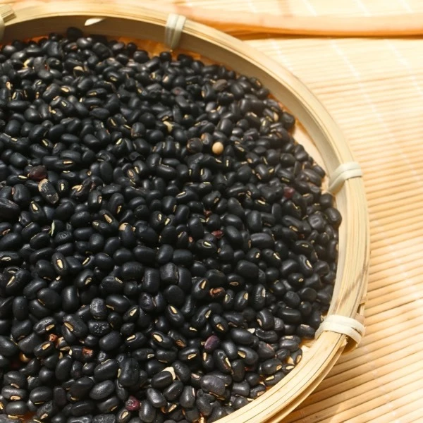 KAMINA乾燥黒豆チップス 100gチャック袋 – 消化・美肌・骨の健康サポート