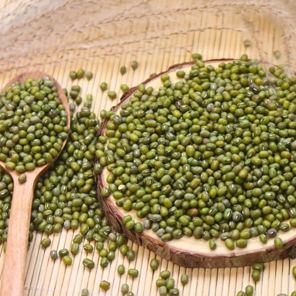 カミナ緑豆100gチャック付き袋 - チェー、もやし作りに。ダイエット・心臓血管サポート