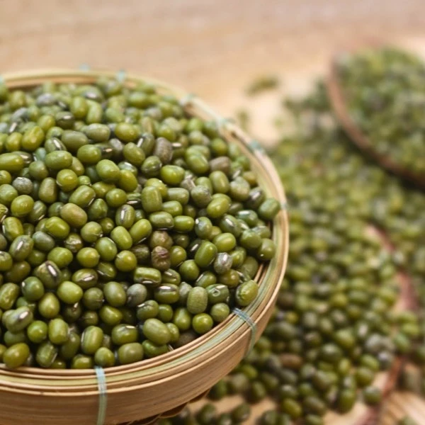 KAMINA緑豆 ジップ袋入り 250g - チェー、もやし、ダイエット、心臓血管の健康サポートに