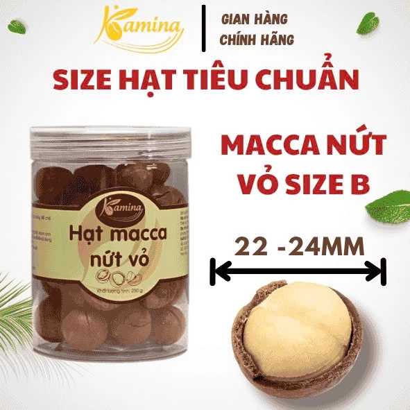 カミナ 殻なしマカダミアナッツ（中粒）250g プラスチック容器 - サクサク香ばしい、毎日手軽な健康おやつ
