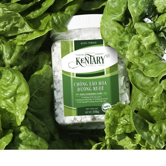 ケンタリー オーガニック葛粉 – 体内浄化、豊かな葛の風味 – 800g大容量