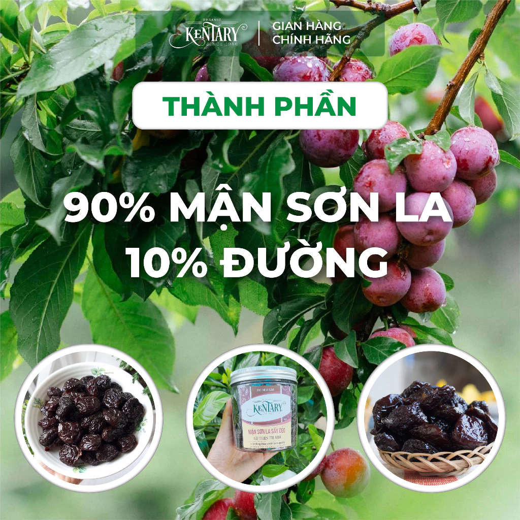 ケントリー製 ソーンラー産ソフトドライプラム - ヘルシーおやつ 400gパック