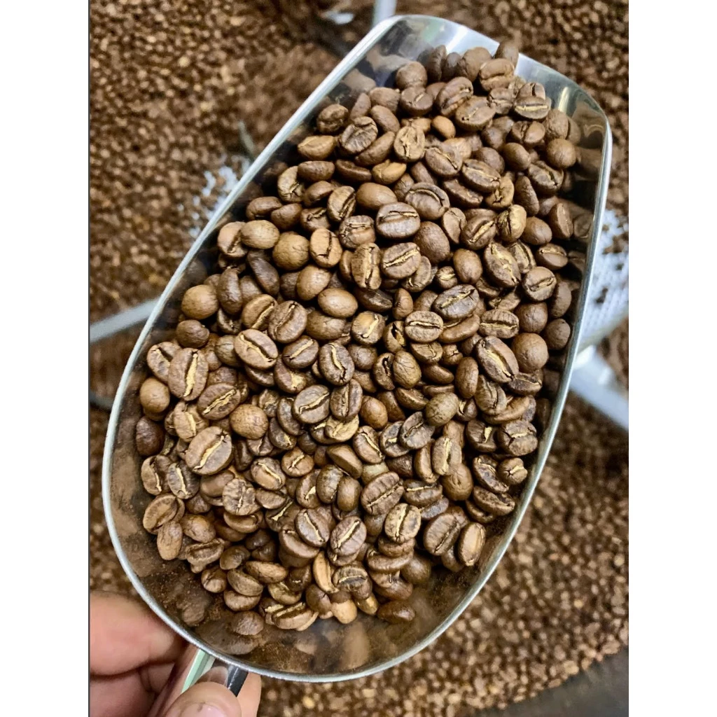 ケニアAAプラス マウントケニア スペシャルティコーヒー 粗挽き コールドブリュー用 500g - Stupiducks (SSC Roaster)