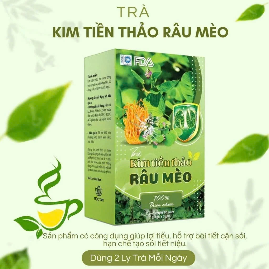 金銭草＆猫ひげ草 腎臓デトックスティー - 腎機能サポート、利尿、美肌効果 30ティーバッグ