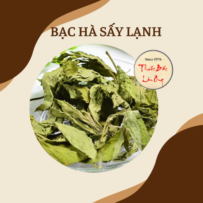 【Lãn Ông】枝葉入り 乾燥ミント 1kg | 清潔で香り高い天然ハーブ