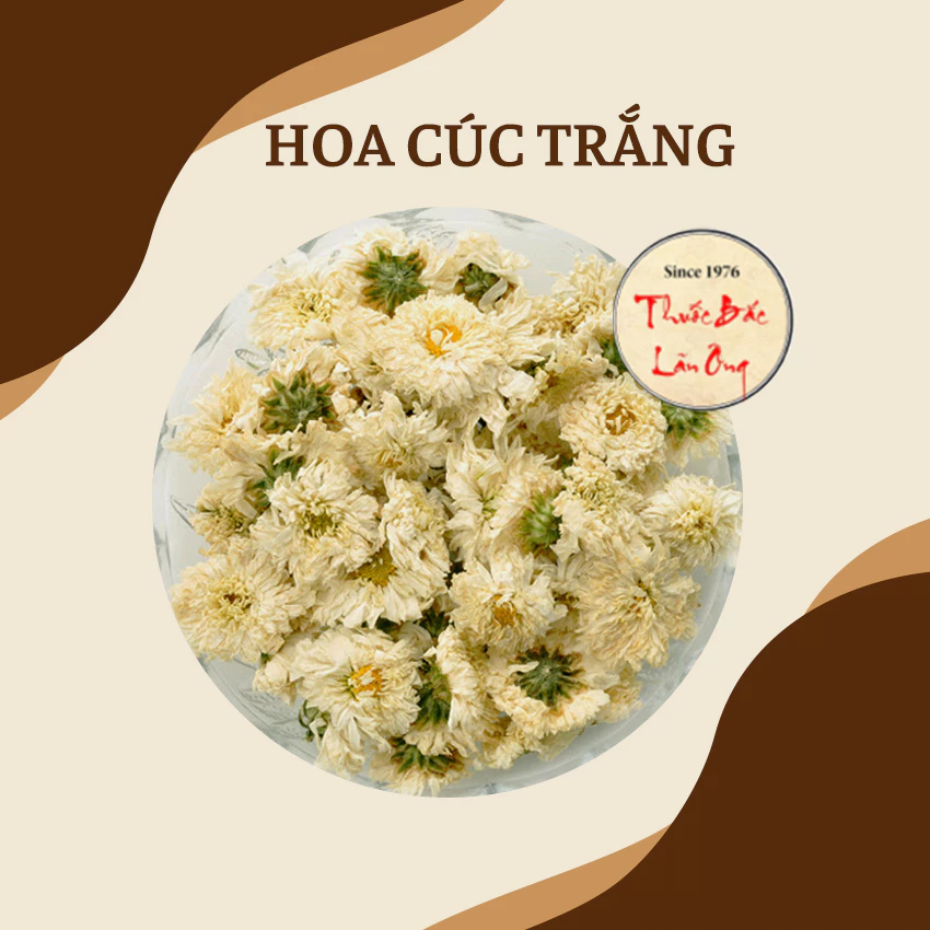 【Lãn Ông】乾燥白菊(全花)100g – 上品な香りの白菊茶、美容・健康・サムヌックに