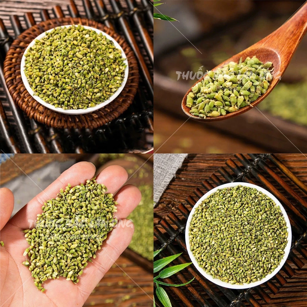 Lãn Ông 槐花茶 100g:香ばしい焙煎槐花蕾、清潔で不純物なし