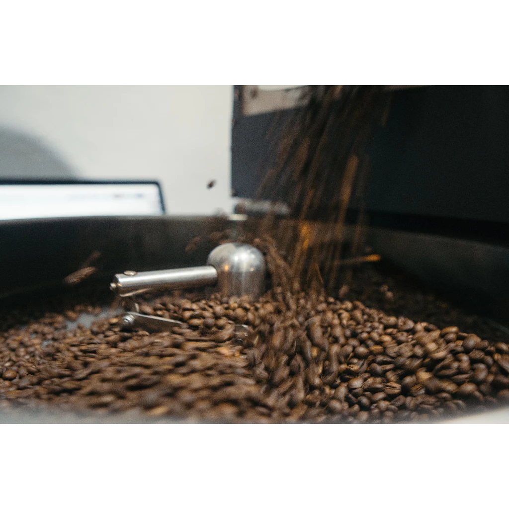 LEJCAFE XL 1KG ファインロブスタ スペシャルナチュラル ホールビーンコーヒー豆