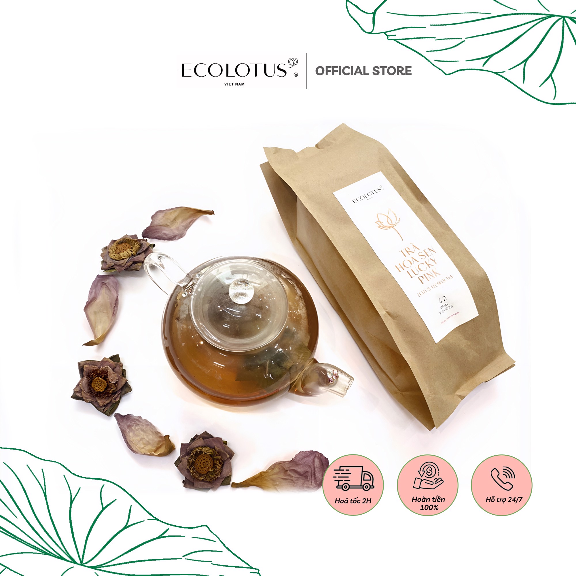 ハス茶 蓮花茶 フリーズドライ 100g 10輪入り Ecolotus