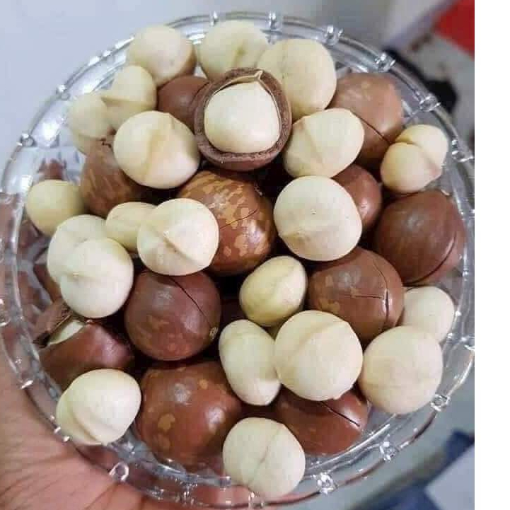 Macca Đăk Lăk プレミアム マカダミアナッツ 大粒 皮むき済み 即食 500g 健康志向 妊婦 ダイエット 体調管理