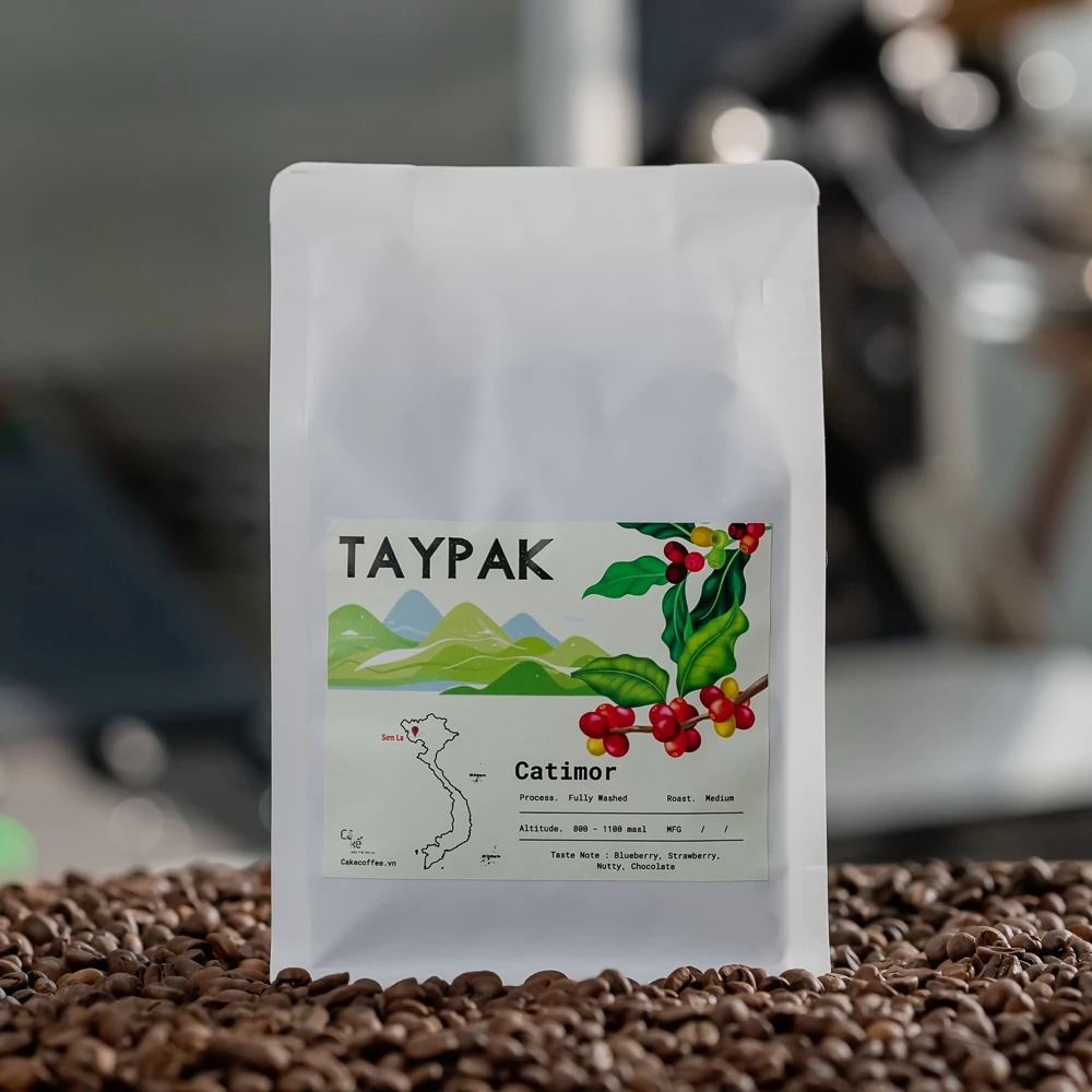 【業務用】中煎り カティモール タイパック ウォッシュド コーヒー粉 1000g | スペシャルティコーヒー エスプレッソ・ドリップ用