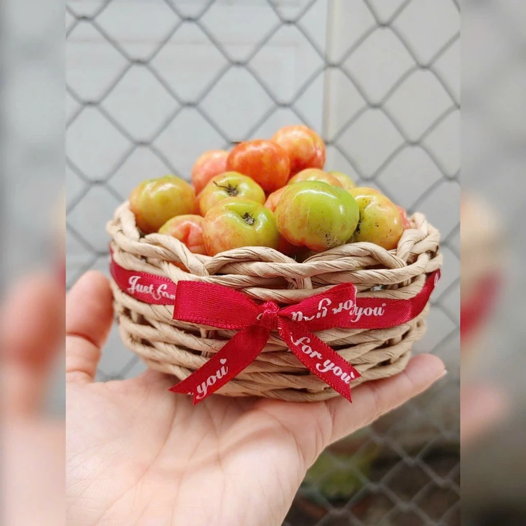 ミニペーパーバスケット【多用途】小物収納、フルーツ、インテリア雑貨